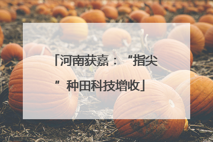 河南获嘉：“指尖”种田科技增收
