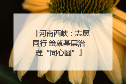 河南西峡：志愿同行 绘就基层治理“同心圆”