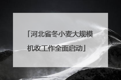 河北省冬小麦大规模机收工作全面启动