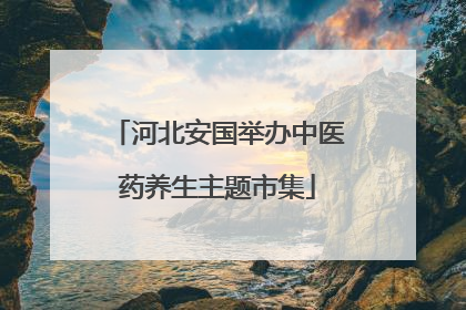 河北安国举办中医药养生主题市集