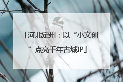 河北定州：以“小文创”点亮千年古城IP