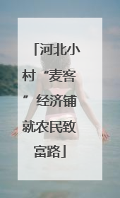 河北小村“麦客”经济铺就农民致富路