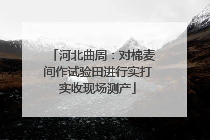 河北曲周：对棉麦间作试验田进行实打实收现场测产