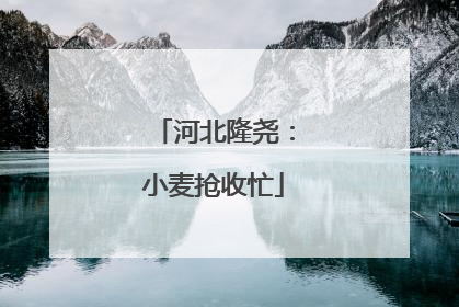河北隆尧：小麦抢收忙