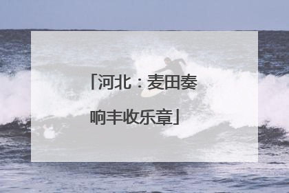 河北：麦田奏响丰收乐章