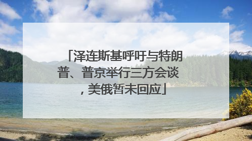 泽连斯基呼吁与特朗普、普京举行三方会谈，美俄暂未回应