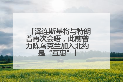 泽连斯基将与特朗普再次会晤，此前曾力陈乌克兰加入北约是“互惠”