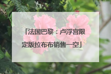 法国巴黎：卢浮宫限定版拉布布销售一空