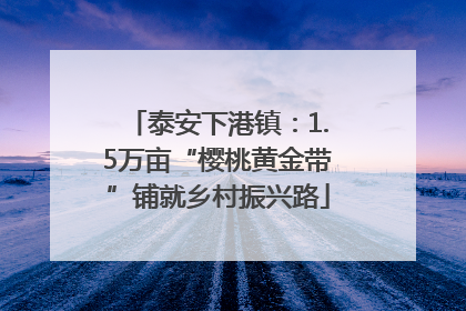 泰安下港镇：1.5万亩“樱桃黄金带”铺就乡村振兴路