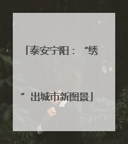 泰安宁阳：“绣”出城市新图景