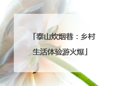泰山炊烟巷：乡村生活体验游火爆