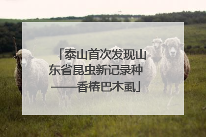 泰山首次发现山东省昆虫新记录种——香椿巴木虱