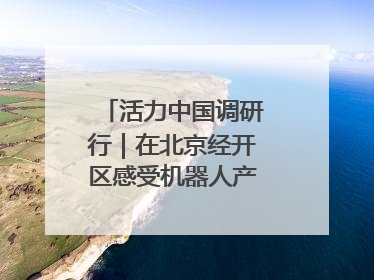 活力中国调研行｜在北京经开区感受机器人产业创新发展
