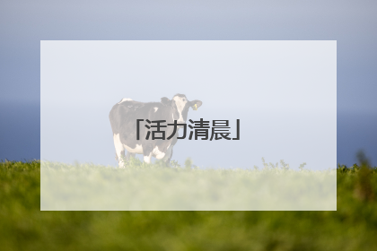 活力清晨