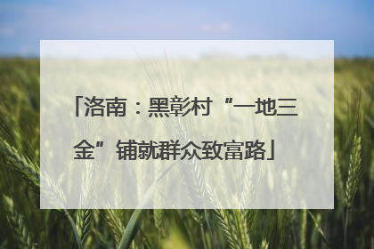 洛南：黑彰村“一地三金”铺就群众致富路