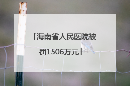 海南省人民医院被罚1506万元