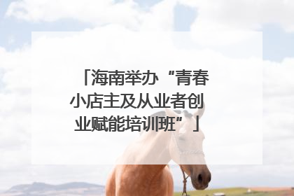 海南举办“青春小店主及从业者创业赋能培训班”