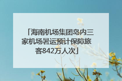 海南机场集团岛内三家机场暑运预计保障旅客842万人次
