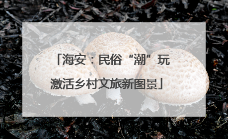 海安：民俗“潮”玩激活乡村文旅新图景