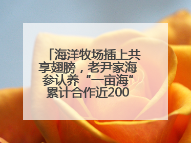 海洋牧场插上共享翅膀，老尹家海参认养“一亩海”累计合作近200企业客户