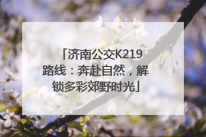 济南公交K219路线：奔赴自然，解锁多彩郊野时光