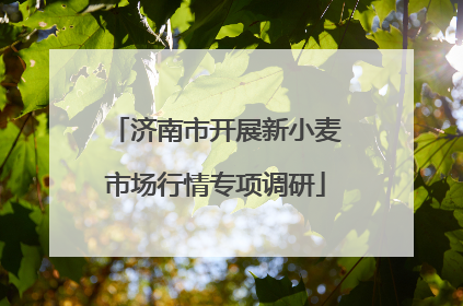 济南市开展新小麦市场行情专项调研