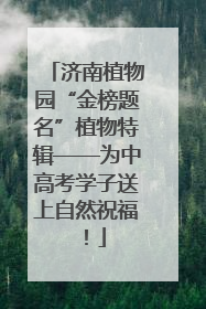 济南植物园“金榜题名”植物特辑——为中高考学子送上自然祝福！