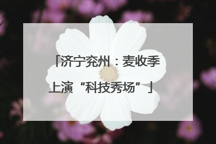 济宁兖州：麦收季上演“科技秀场”