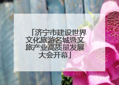 济宁市建设世界文化旅游名城暨文旅产业高质量发展大会开幕