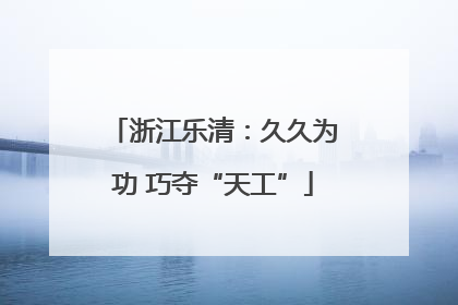浙江乐清：久久为功 巧夺“天工”