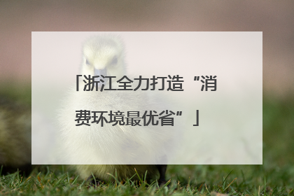 浙江全力打造“消费环境最优省”