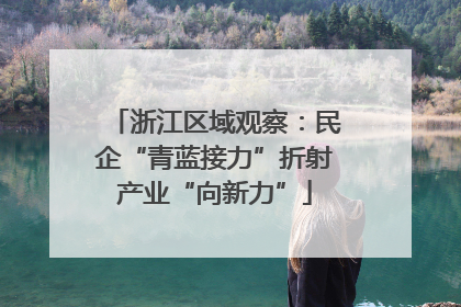 浙江区域观察：民企“青蓝接力”折射产业“向新力”