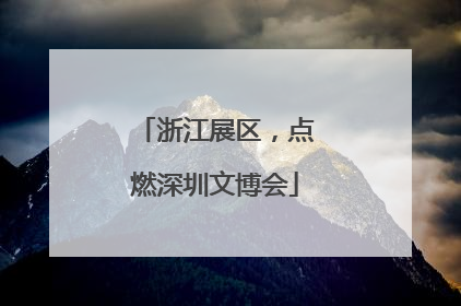 浙江展区，点燃深圳文博会