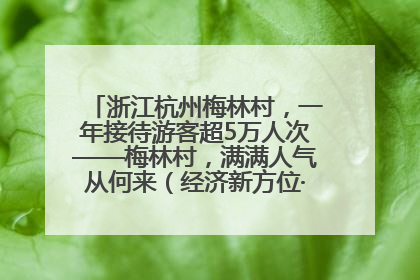浙江杭州梅林村，一年接待游客超5万人次——梅林村，满满人气从何来（经济新方位·农村消费观察）