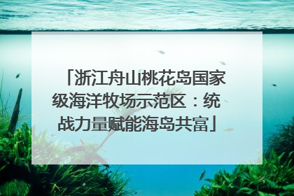 浙江舟山桃花岛国家级海洋牧场示范区：统战力量赋能海岛共富