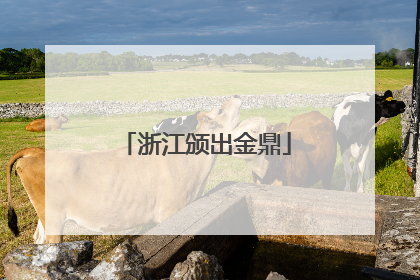 浙江颁出金鼎