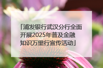 浦发银行武汉分行全面开展2025年普及金融知识万里行宣传活动
