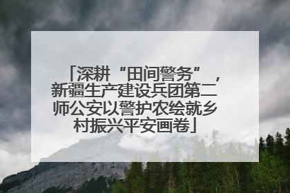 深耕“田间警务”，新疆生产建设兵团第二师公安以警护农绘就乡村振兴平安画卷
