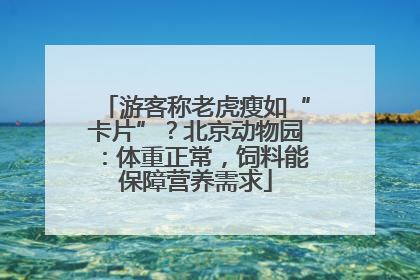 游客称老虎瘦如“卡片”？北京动物园：体重正常，饲料能保障营养需求