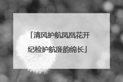 清风护航凤凰花开 纪检护航廉韵绵长