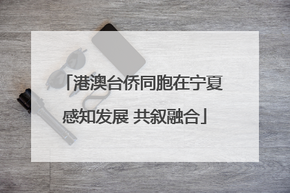 港澳台侨同胞在宁夏感知发展 共叙融合
