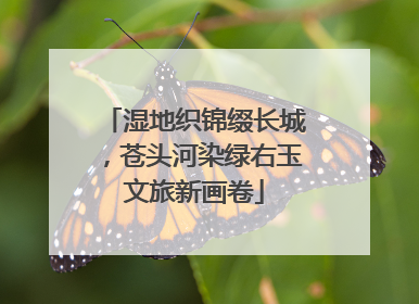 湿地织锦缀长城，苍头河染绿右玉文旅新画卷