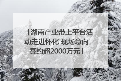 湖南产业带上平台活动走进怀化 现场意向签约超2000万元