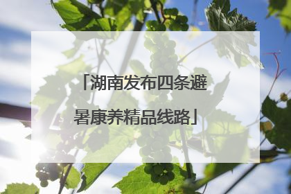 湖南发布四条避暑康养精品线路