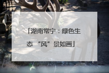 湖南常宁：绿色生态 “风”景如画