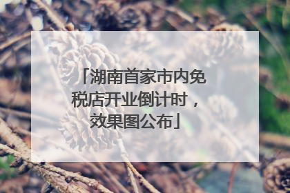 湖南首家市内免税店开业倒计时，效果图公布