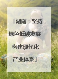 湖南：坚持绿色低碳发展 构建现代化产业体系