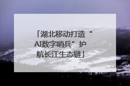 湖北移动打造“AI数字哨兵”护航长江生态链