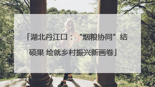 湖北丹江口：“烟粮协同”结硕果 绘就乡村振兴新画卷