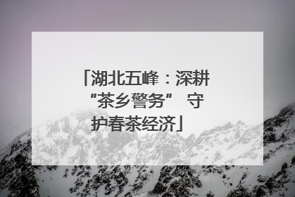 湖北五峰：深耕“茶乡警务” 守护春茶经济